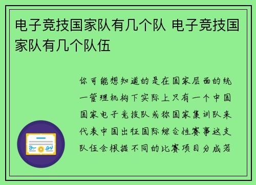 电子竞技国家队有几个队 电子竞技国家队有几个队伍